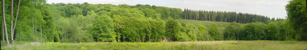Wyfold Valley